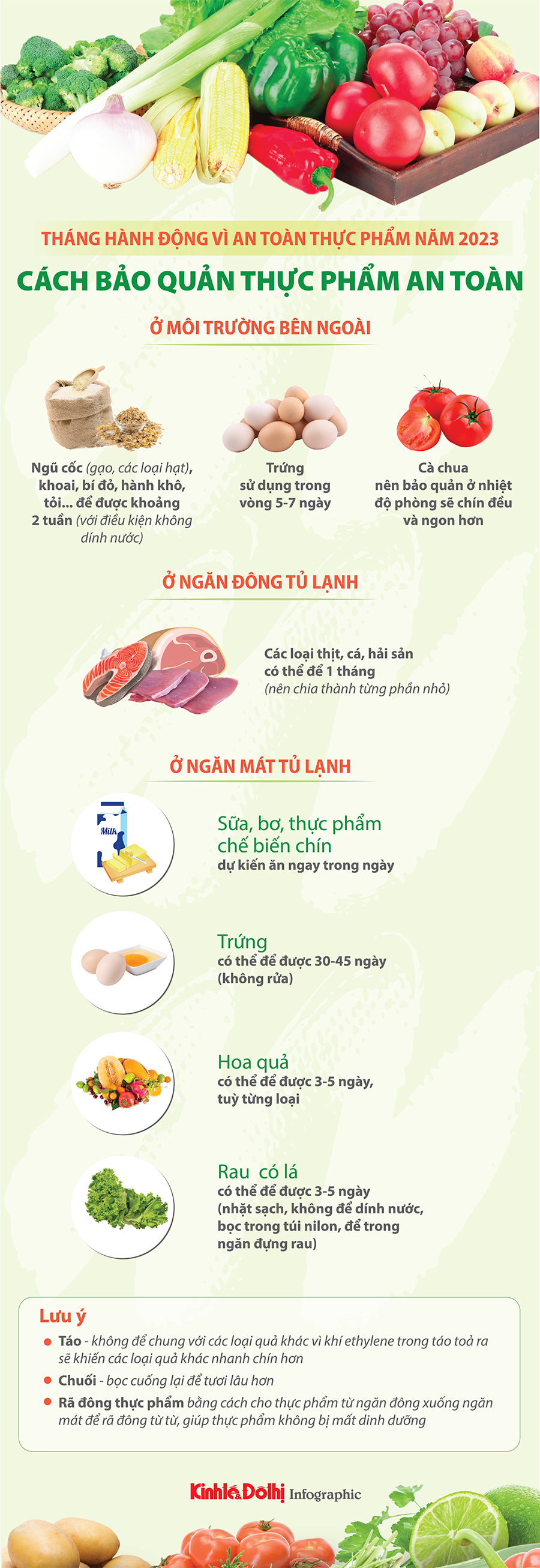 bảo quản thực phẩm, infographic