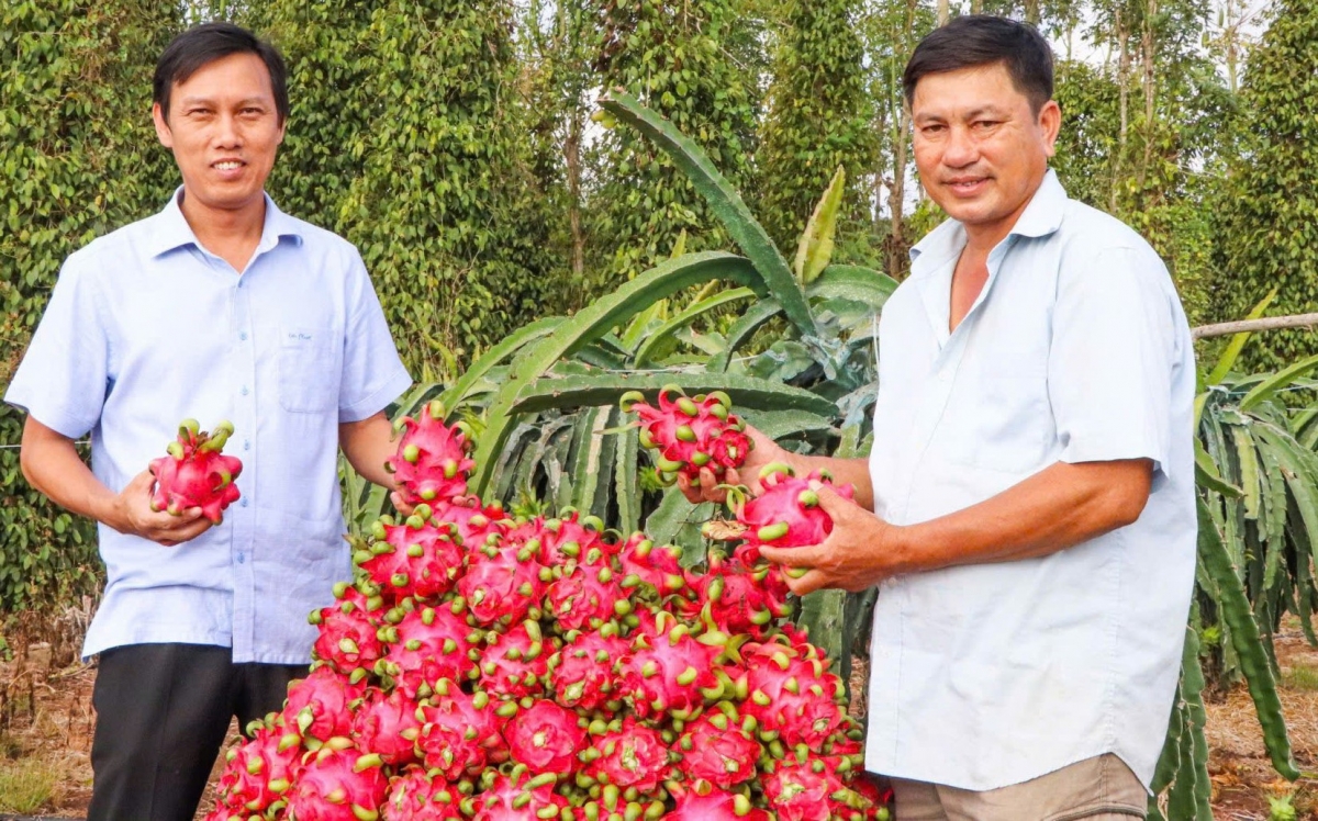 Huyện Châu Đức (Bà Rịa - Vũng Tàu): Đảm bảo an sinh xã hội cho người dân