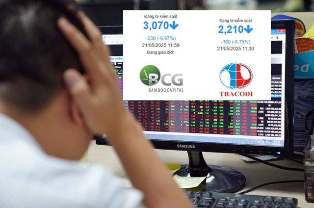 Bộ đôi BCG và TCD vào diện hạn chế giao dịch, cổ phiếu 