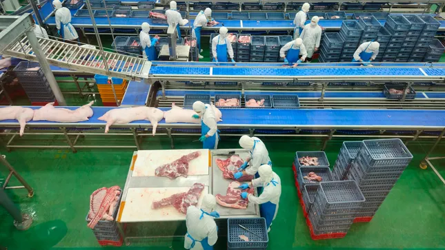 Hà Nội: Liên ngành đột xuất kiểm tra Công ty C.P trong đêm
