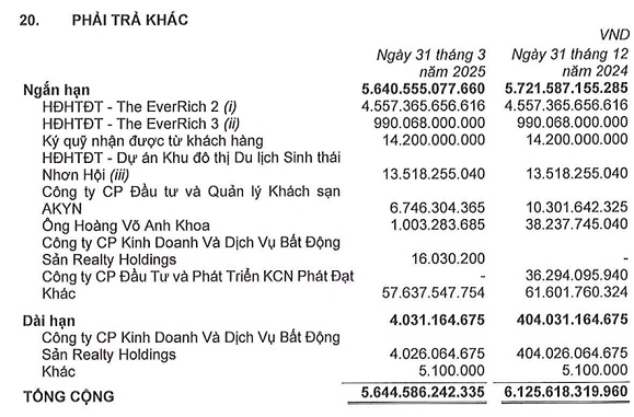 Trái phiếu 3 công ty bị cảnh báo rủi ro và dự án The EverRich 2 của PDR
