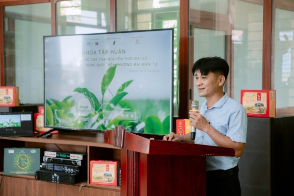 Vùng chè Thái Nguyên nâng chất, xây dựng thương hiệu