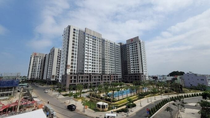 cong-ty-tnhh-mtv-dau-tu-phat-trien-gia-cu-thanh-vien-cua-pi-group-no-thue-hon-347-ty-dong-1754099183.jpg