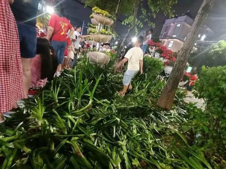 nhung-hanh-vi-nao-co-the-bi-xu-phat-neu-vi-pham-khi-di-xem-dieu-binh-dieu-hanh-1756337883.jpg