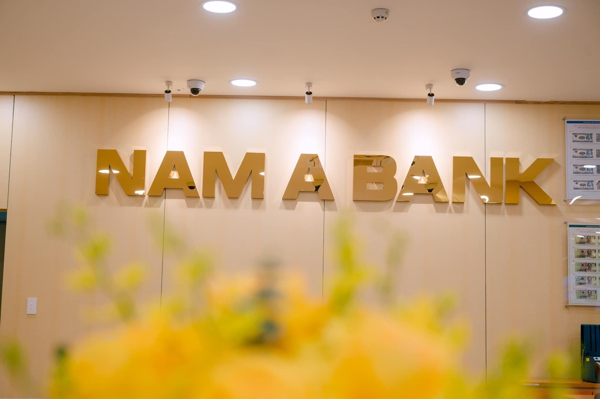 thanh-tra-ngan-hang-nha-nuoc-chi-ra-mot-so-ton-tai-o-chi-nhanh-nam-a-bank-va-gp-bank-1763177819.jpg