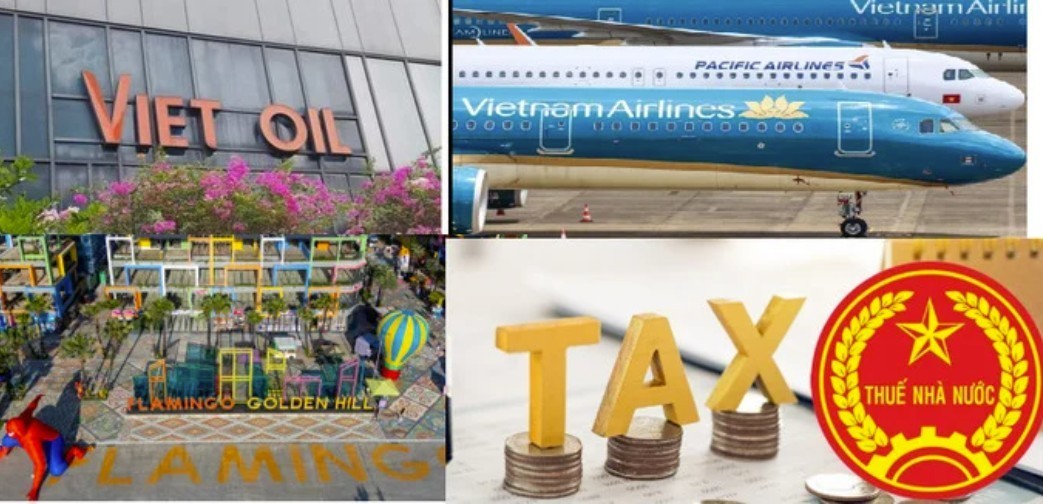 xuyen-viet-oil-golden-hill-pacific-airlines-bi-cong-khai-no-thue-hang-tram-ty-dong-1778550920.jpg