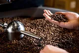 Đưa cà phê giảm phát thải vào chuỗi giá trị toàn cầu