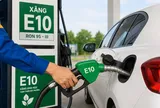 Hiệp hội ô tô, xe máy nói gì về xăng E10?