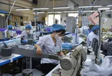 Đề xuất tăng lương tối thiểu vùng gần 10%: Cân bằng bài toán an sinh và sức chịu đựng của doanh nghiệp