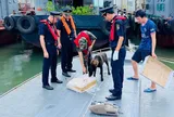 Lực lượng Hải quan triển khai đồng bộ các biện pháp nghiệp vụ nhằm ngăn chặn hàng hóa nhập lậu ngay từ khu vực cửa khẩu