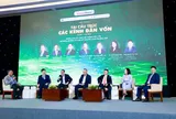 Giảm áp lực cho tín dụng ngân hàng bằng tái cấu trúc các kênh dẫn vốn