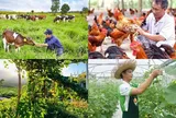 Chính sách mới có hiệu lực từ tháng 8/2026