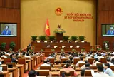 Cắt giảm, đơn giản hóa thủ tục hành chính, điều kiện kinh doanh trong lĩnh vực nông nghiệp và môi trường