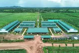 Công ty cổ phần Nông nghiệp Trường Hải bị xử phạt hơn 90 triệu đồng