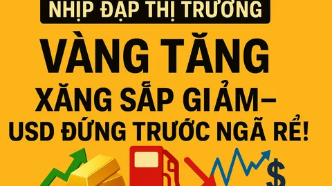 Nhịp Đập Thị Trường | Vàng tăng – Xăng sắp giảm – USD đứng trước ngã rẽ!