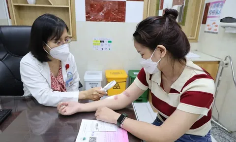 Mùa mưa, cẩn trọng với kiến ba khoang