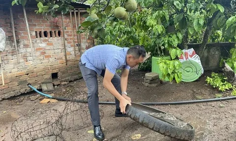 Ghi nhận trường hợp thứ 2 mắc bệnh viêm não Nhật Bản tại Đắk Lắk