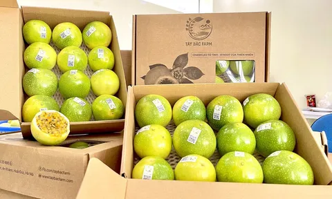 Đàm phán xuất khẩu trái chanh leo Việt Nam sang Hoa Kỳ