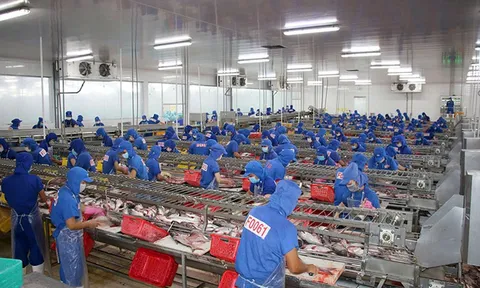 Dự kiến xuất khẩu năm 2025 sẽ tăng trưởng 12%