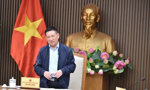 Phó Thủ tướng Hồ Đức Phớc chủ trì cuộc họp tái cơ cấu Ngân hàng phát triển Việt Nam
