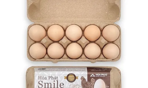 Mảng nông nghiệp của 'vua thép' Hòa Phát đang làm ăn ra sao?