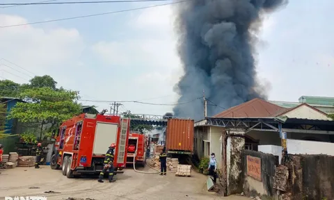 Cháy công ty nội thất ở Bình Dương, công nhân hỗ trợ dập lửa