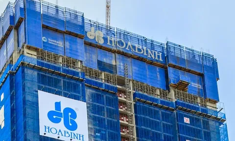 Tập đoàn Xây dựng Hòa Bình 'đứng đầu' danh sách nợ BHXH tại TPHCM