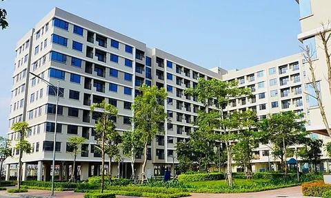 Thu nhập 1 năm, người dân mới chỉ mua được 2,35 m2 nhà ở