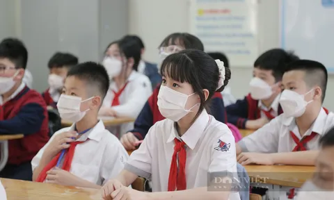 Thông tư 29 quy định dạy thêm, học thêm: "Người ép học sinh đi học thêm chính là cha mẹ"