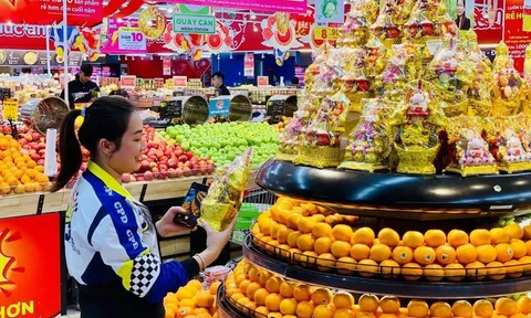 Giá cả Tết Nguyên đán 2025 ổn định, không có biến động lớn