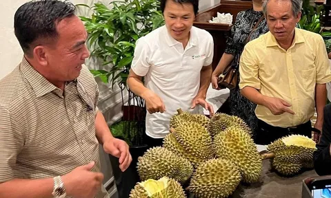 Doanh nghiệp bầu Đức “rơi” hơn 80% lợi nhuận do đâu?