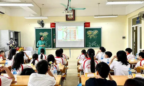 Dạy thêm: Pháp lý và đạo lý