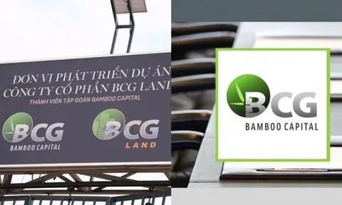 Nhóm cổ phiếu Bamboo Capital lao dốc trong tuần qua