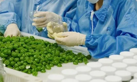 Bộ Y tế yêu cầu làm rõ quá trình sản xuất viên kẹo rau củ Kera