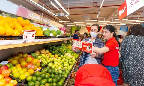 Masan Group: Dòng tiền kinh doanh vẫn âm – Thách thức lớn cho phát triển bền vững