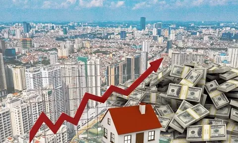 Chính phủ 'lệnh' thanh tra các ngân hàng có 'sân sau' là DN bất động sản