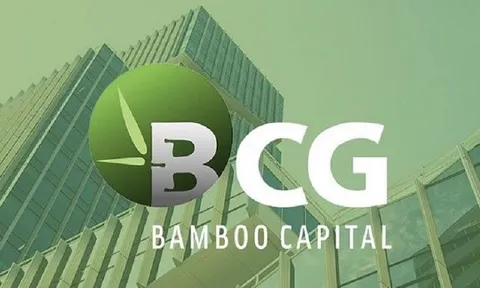 Thêm 3 lô trái phiếu liên quan nhóm Bamboo Capital bị tạm ngưng giao dịch