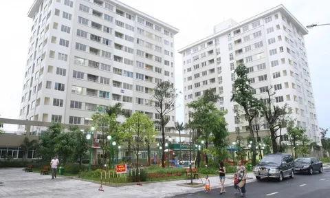 Bán rau ngoài chợ xác nhận thu nhập mua nhà ở xã hội thế nào?