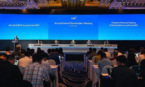 VIB đặt kế hoạch lợi nhuận 11.020 tỷ đồng năm 2025