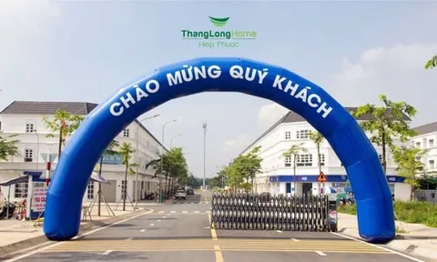 Công ty thành viên Thang Long Real Group bị phạt 300 triệu đồng