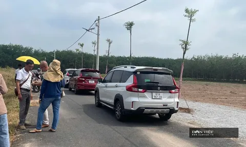 Nhà đầu tư “săn” nhà, đất ở Bình Dương khi có thông tin sáp nhập