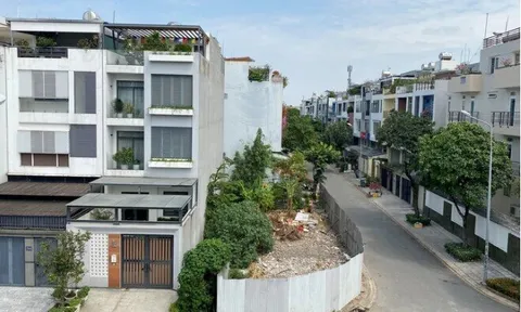 Sự thật chuyện vùng ven TP.HCM 'sốt đất hầm hập' do sáp nhập