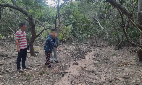 Hiếp dâm bà lão 60 tuổi không thành, đối tượng cướp dây chuyền cùng iPhone