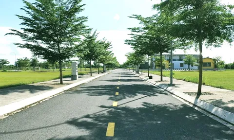 Đức Hòa (Long An): Các ông lớn đổ bộ làm dự án, giới đầu tư bắt đầu “sốt sắng” về săn đất nền