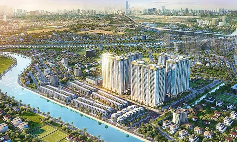 Hệ sinh thái NVT Group của ông Nguyễn Văn Thiệu có gì khi liên tục mang tài sản đi thế chấp khắp nơi