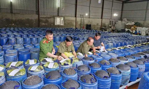 Nghệ An: Triệt phá đường dây 3.500 tấn giá đỗ tẩm hóa chất độc hại
