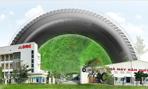 Diễn biến ‘kém vui’ trước thềm ĐHĐCĐ DRC: Lợi nhuận giảm 81%, cổ phiếu giảm mạnh