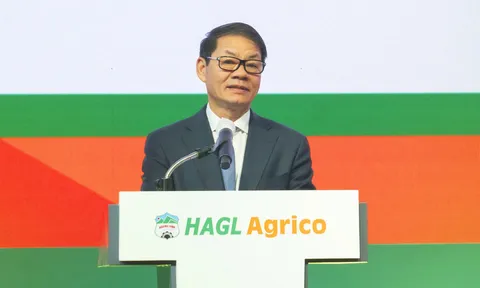 Ông Trần Bá Dương: HNG giờ như 'cái xác không hồn'