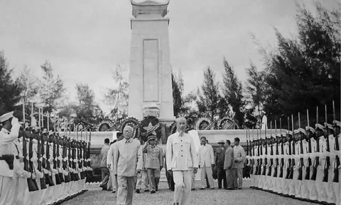 Nhờ ai ta có hòa bình?