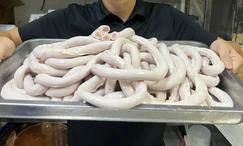 Điều gì xảy ra khi ăn lòng heo ngâm hóa chất?